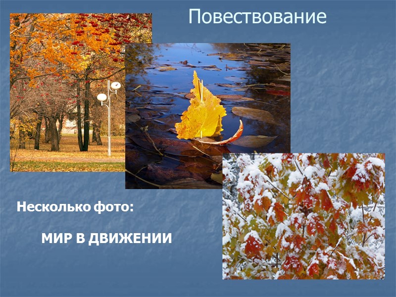 Повествование Несколько фото: МИР В ДВИЖЕНИИ Повествование Несколько фото: МИР В ДВИЖЕНИИ